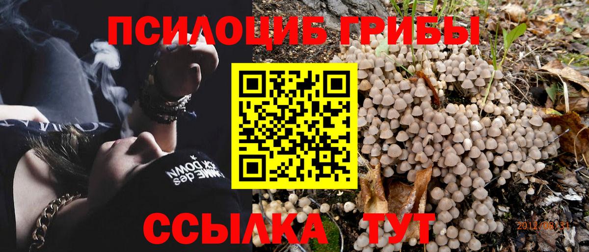 Галлюциногенные грибы MAGIC MUSHROOMS Кисловодск